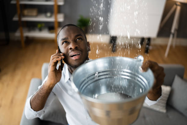 Best Residential water damage restoration  in Corunna, MI