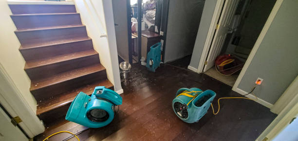 Best 24-hour water damage restoration  in Corunna, MI