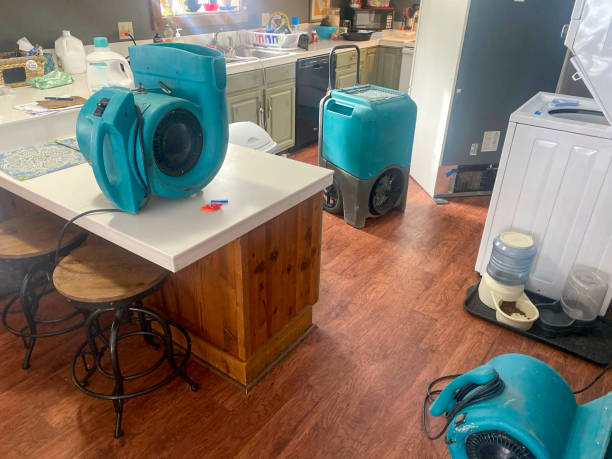 Trusted Corunna, MI Water damage restoration Experts