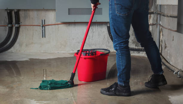 Best Professional water damage repair  in Corunna, MI