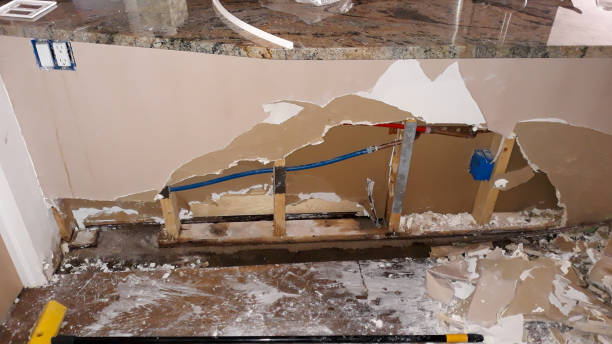 Best Emergency water damage restoration  in Corunna, MI