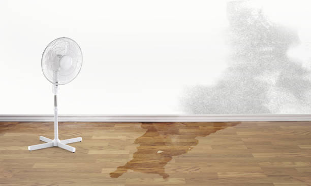 Best Water damage restoration near me  in Corunna, MI