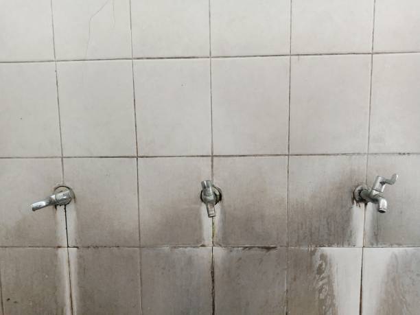 Best Mold removal after water damage  in Corunna, MI