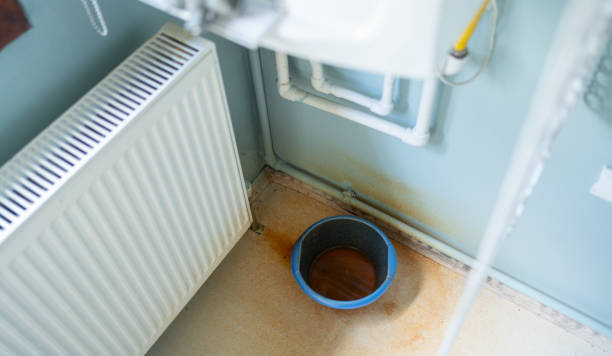 Best Flood restoration services  in Corunna, MI