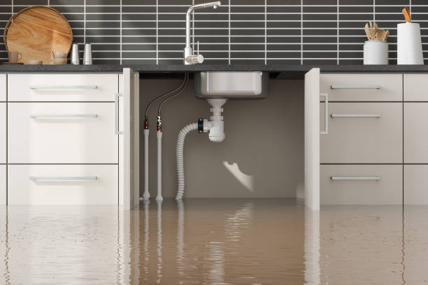 Best Water damage contractors near me  in Corunna, MI
