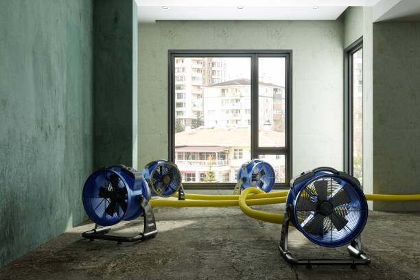Best Water damage repair service  in Corunna, MI